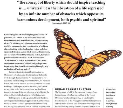 The Butterfly Effect By Koren Clark Association Montessori