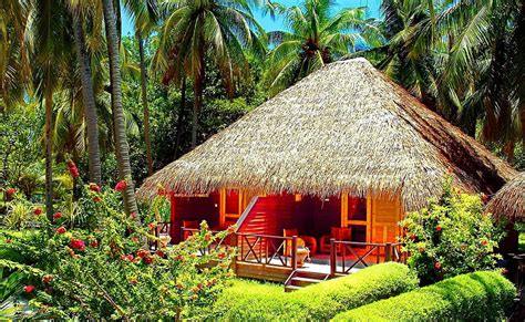 Tropical Rest Rest Forest Vacation Hut Exotic Lovely Relax