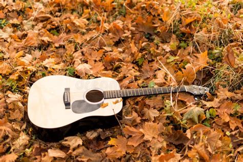 Guitar On Autumn Leaves Stock Photo Image Of Antique 46571886