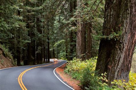 Redwood Highway LA Progressive
