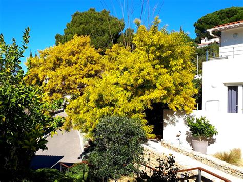 Le jardin, la terrasse ou le balcon sont des pièces de vie à part entière. Cacher un vis à vis - Blog Marseille (13) Aix-en-Provence