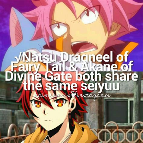 anime fact fairy tail divine gate natsu dragneel of fairy tail and akane of divine gate
