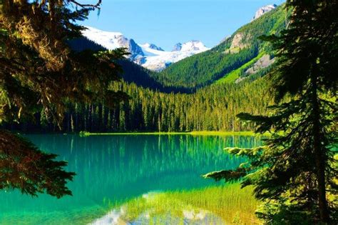 Nature Landscape Trees Lake Mountain Forest Summer