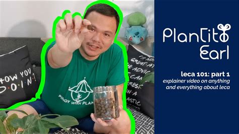 Leca 101 All You Need To Know About Leca Plantito Talks Youtube