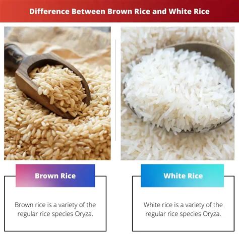 Brown Rice Vs White Rice Difference And Comparison