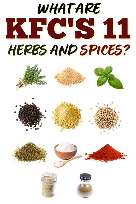 What Are Kfcs 11 Herbs And Spices