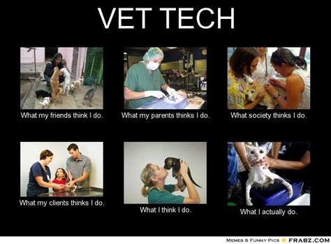 What People Think I Do Vet Tech Meme Vet Tech Humor Vet Tech School