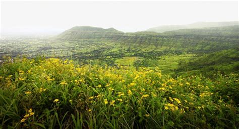 Vallée Des Fleurs Inde Duttarakhand Photo Stock Image Du Flore