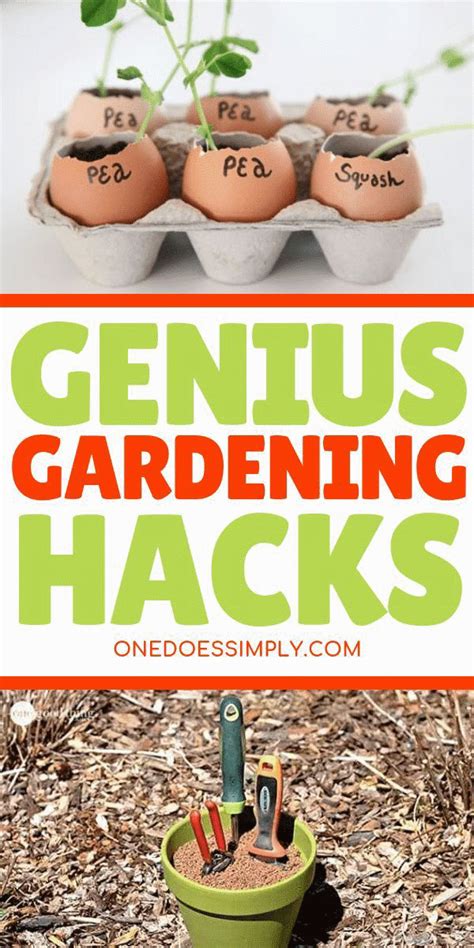 10 brilliant gardening hacks you should try to be a gardening genius