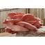 Growing Pink Oyster Mushrooms At Home Easy Backyard Grow  FreshCap