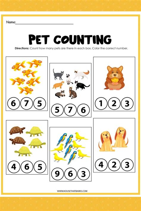 Free Worksheets On Pets