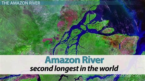 Amazon River Facts Location And Characteristics Video And Lesson