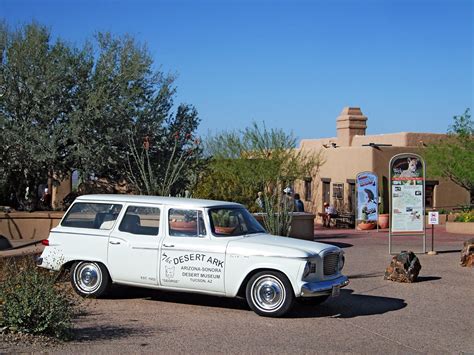 Arizona Sonora Desert Museum Tucson Arizona