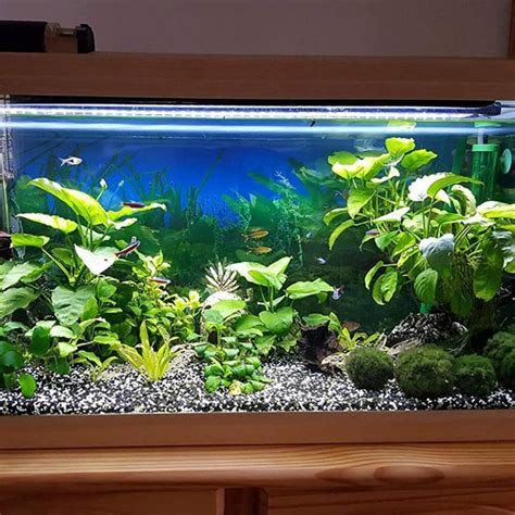 We did not find results for: NICREW ClassicLED G2 Aquarium Light, Fish Tank Light with Wired LED Controller and Extendable ...