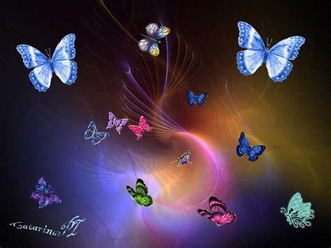 Free Butterfly Wallpaper Animated Wallpapersafari