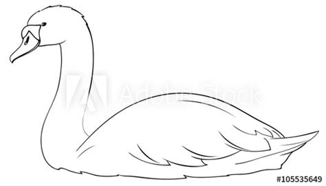 Beautiful Swan Outlines Stock Image And Royalty Free