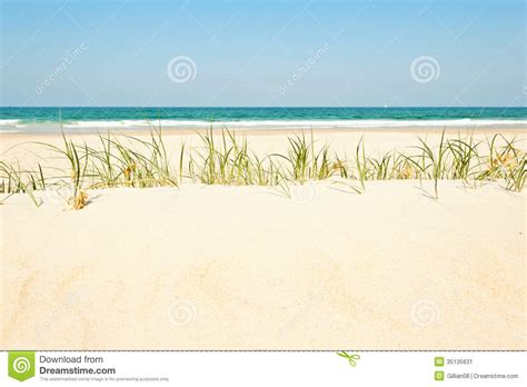 Beach With Wild Grass Stock Image Image Of Dune Nature 35135631