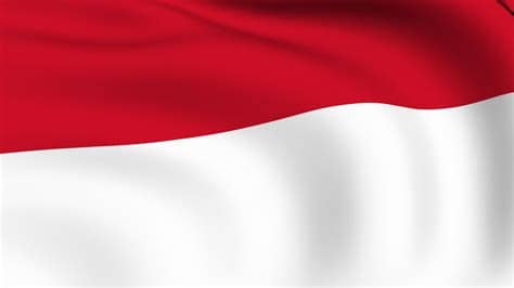 ~ upacara bendera ~ kantor ~hiasan mobil/sepeda ~acara agustusan kami memiliki berbagai macam. Anyone Else Talk Shit In Their Native Language? | The ...