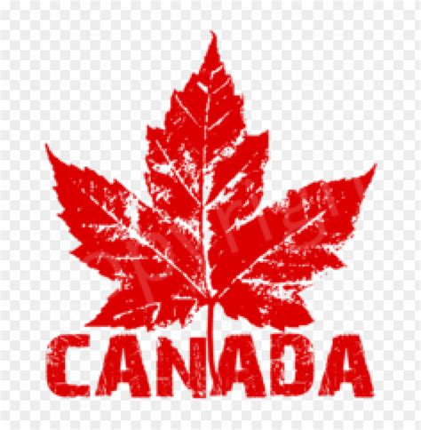 Free Png Download Canada Leaf Png Images Background Png Images Transparent