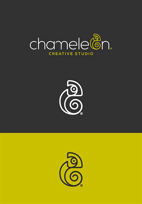 Chameleon Creative Studio Identity Behance