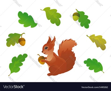 Squirrel And Oak Leaves Royalty Free Vector Image