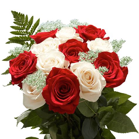 Vibrant Dozens Of Red And White Roses Globalrose