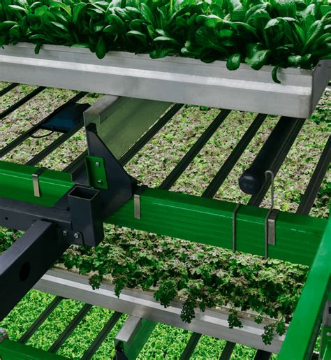Vertical Farming Advantages You Should Know About Bowery