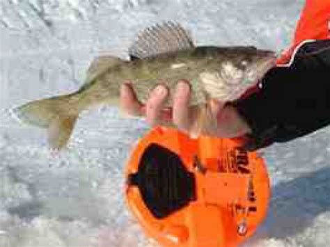 I fish pro 20 tip up. Ice Fishing: Four Tip-Up Line Questions Answered | Muskego ...