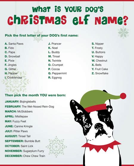 What Is Your Dogs Christmas Elf Name Generator Wititudes