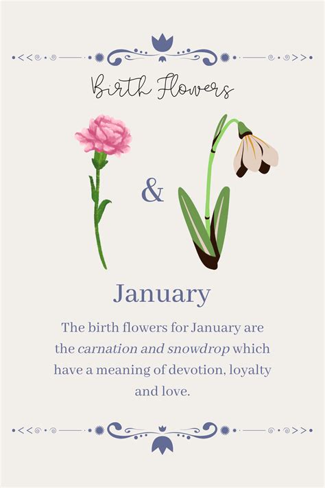 Birth Flowers January In 2023 Birth Flowers Birth Flower Tattoos