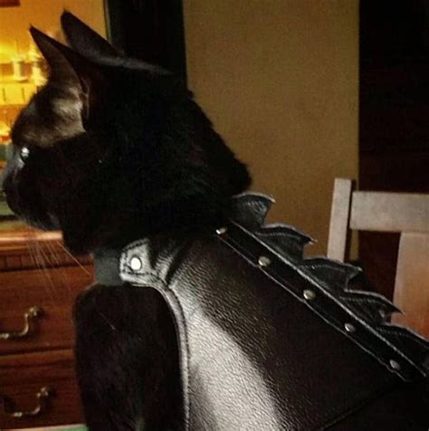 Custom Battle Cat Armor Cat Costume Cosplay Etsy Cat Armor Cat