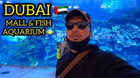 Dubai Fish Aquarium Dubai Vlogs 🇦🇪 The Dubai Mall 😍