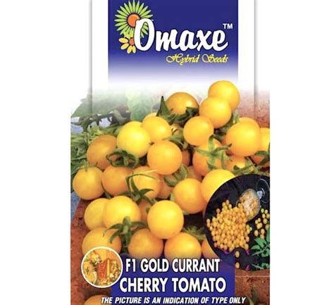 F1 Gold Currant Cherry Tomato Hybrid Seeds By Omaxe Buy Online In Uae
