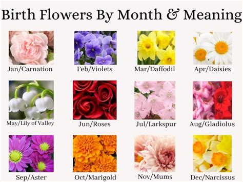 Birth Month Flowers Chart