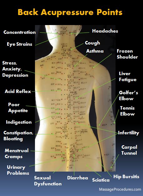 Back Massage Chart Of Pressure Points