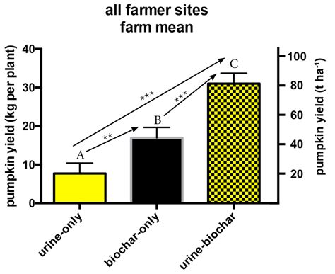 Agriculture | Free Full-Text | Fourfold Increase in Pumpkin Yield in Response to Low-Dosage Root 