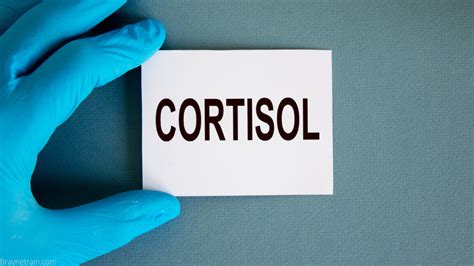 Can Lowering Cortisol Help You Get Rid Of Belly Fat Braynetrain