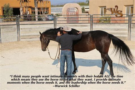 Inspirations Warwick Schiller Horse Riding Quotes Horse Life