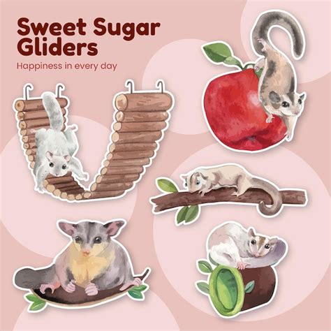 Free Vector Sticker Template With Adorble Sugar Gliders Concept