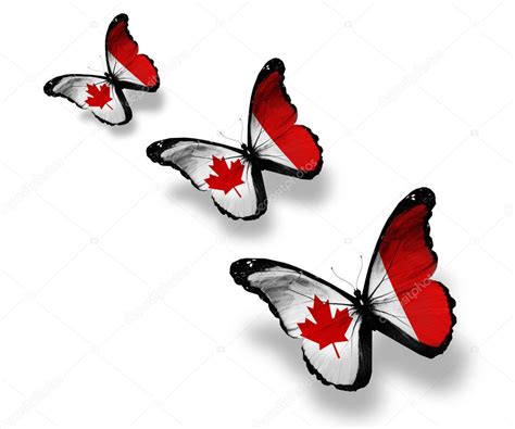 Drie Canadese Vlag Vlinders Geïsoleerd Op Wit — Stockfoto © Suntiger 9892985