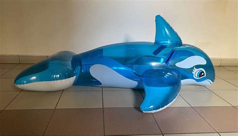 Intex Whale Inflatable Pool Ride On Hobbies And Toys Toys And Games On