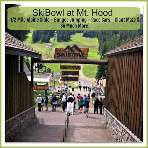 Adventure Park Ski Bowl Summer Fun At Mt Hood Or