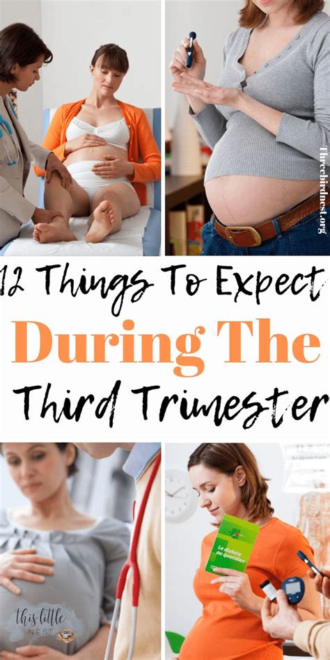 What To Really Expect During The Third Trimester Part 3 Of The