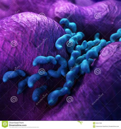 The Campylobacter Close Up Stock Illustration Illustration Of