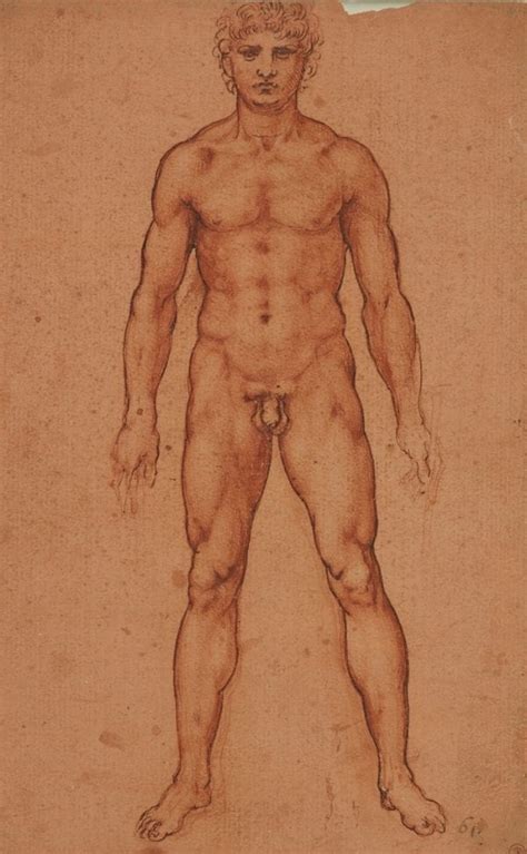 Manchester Art Gallery Displays Rarely Seen Leonardo Da Vinci Drawings In New Exhibition