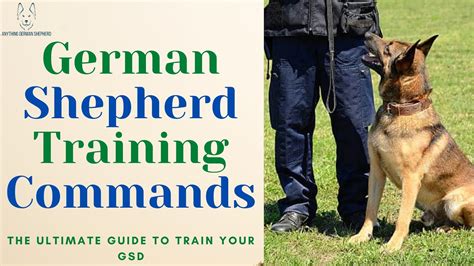 How To Train Your German Shepherd Puppy