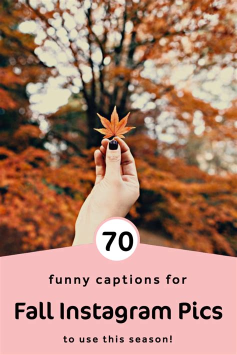 70 Fall Instagram Captions So Genius Youll Want To Use Them All