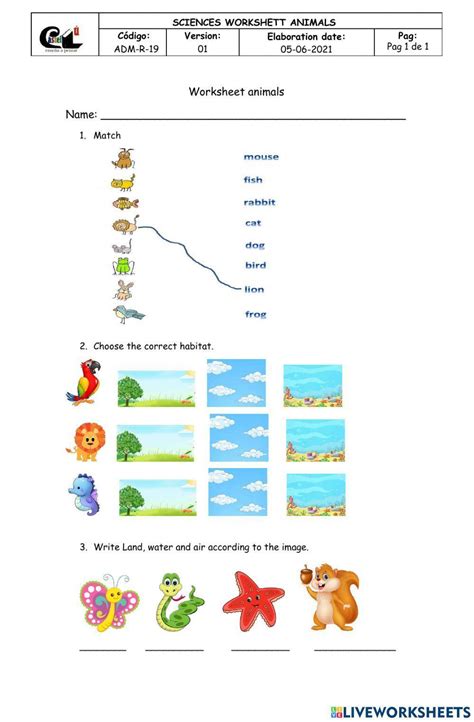 Land Water Air Animals Worksheet Live Worksheets Pin On First Grade