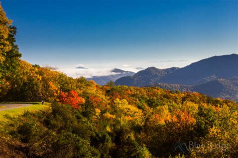 Fall Foliage 2017 Forecast And Guide Blue Ridge Mountain