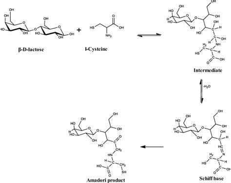 β D Lactose Reacts With L Cysteine Through The Maillard Reaction